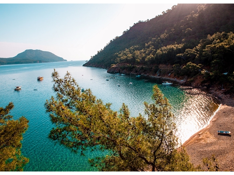 Blog Başlığı