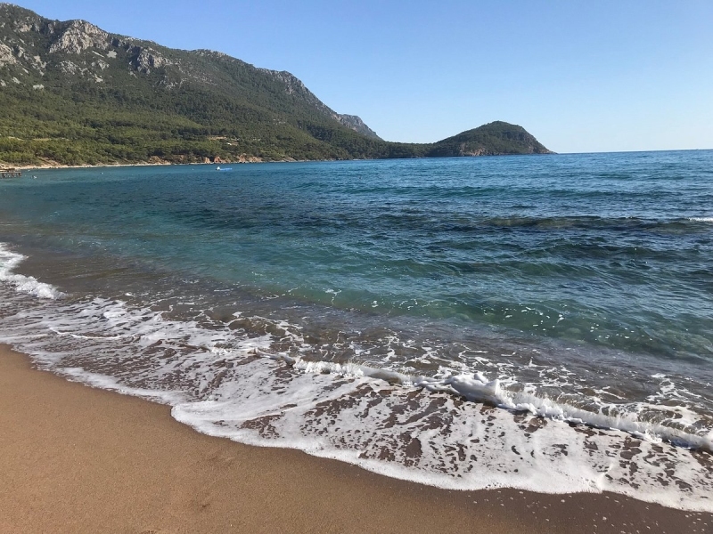 Blog Başlığı